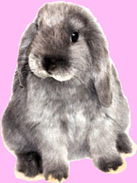 personnage d'Eglantine