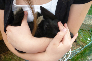 Nero b&eacute;b&eacute;